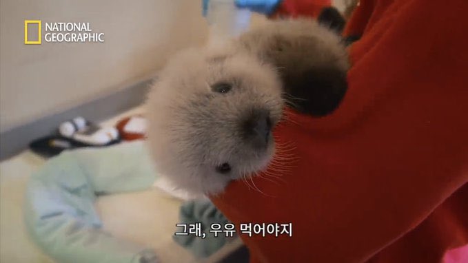 _chirring's tweet photo. .. 오마이갓 https://t.co/zc0GicsW2P