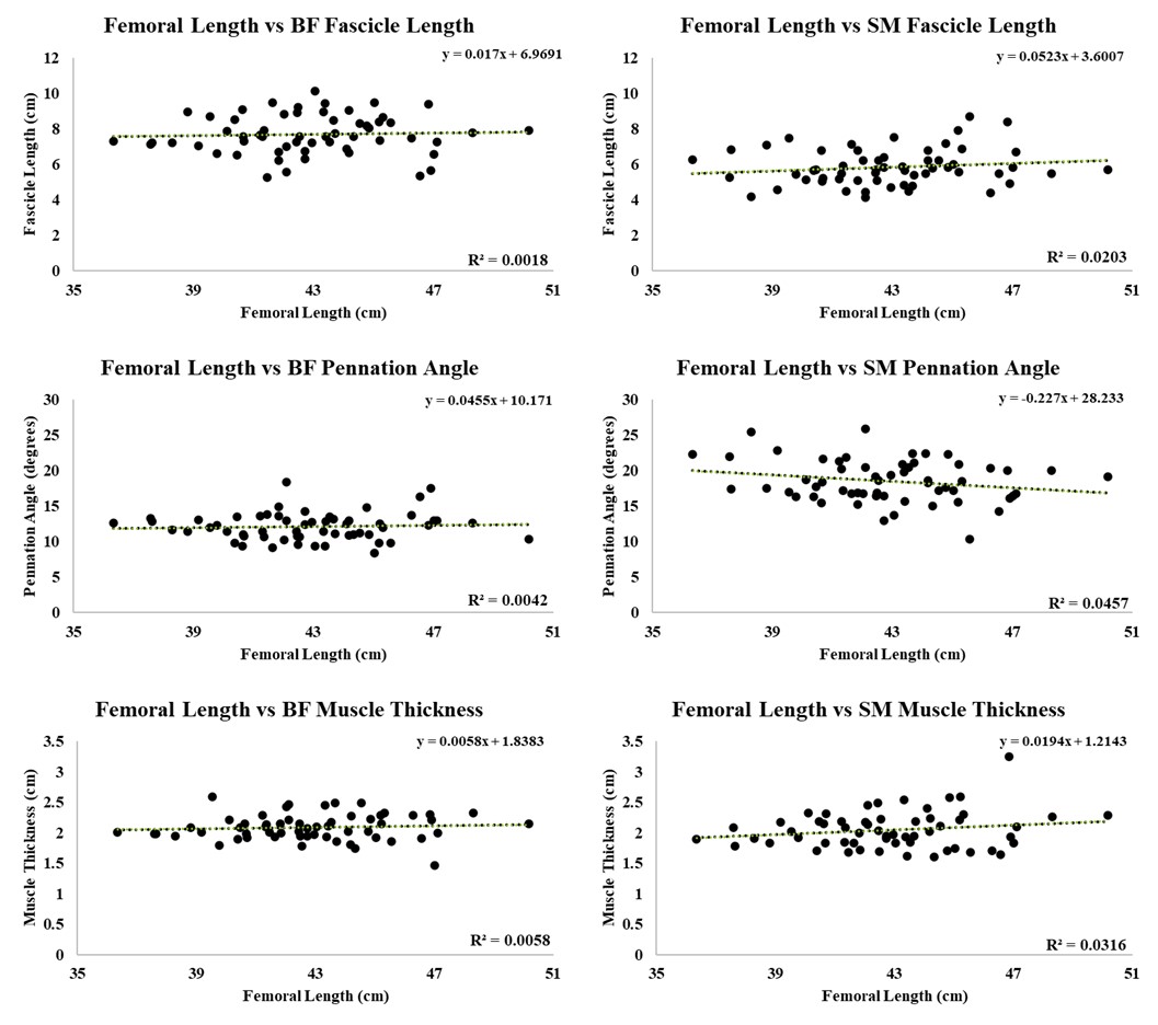 Correlations between hamstring muscle architecture 🦵🍗, maturation & anthropometrics 📏 in ⚽️ players @MattB6195 👏 2019 data collection 2020/21 ✍️ 23/01/22 submitted 14/10/22 1st review back 🤯 5/12/22 resubmitted 23/01/23 2nd review back 03/03/23 ✅ bit.ly/3IVTt52