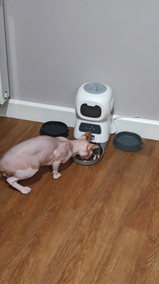 Blue_Bargains's tweet photo. Featuring a sleek and modern design, this device is easy to use and provides a hassle-free feeding experience. Simply fill the hopper with your pet's favorite food and set the feeding schedule using the intuitive control panel. You can program up to four meals a day. https://t.co/Ne4k6TcwMG