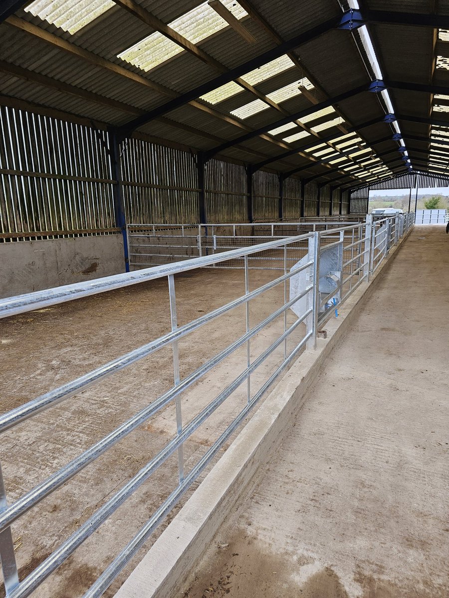 muirtwit's tweet photo. New calf pens coming together, should make life easier. https://t.co/U1lVW0Z8bm