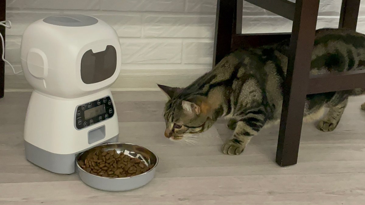 Blue_Bargains's tweet photo. Introducing the ultimate solution for busy pet owners - the Auto Pet Feeder! This innovative device is designed to make your life easier by automating your pet's feeding schedule. https://t.co/17onkXeOlp