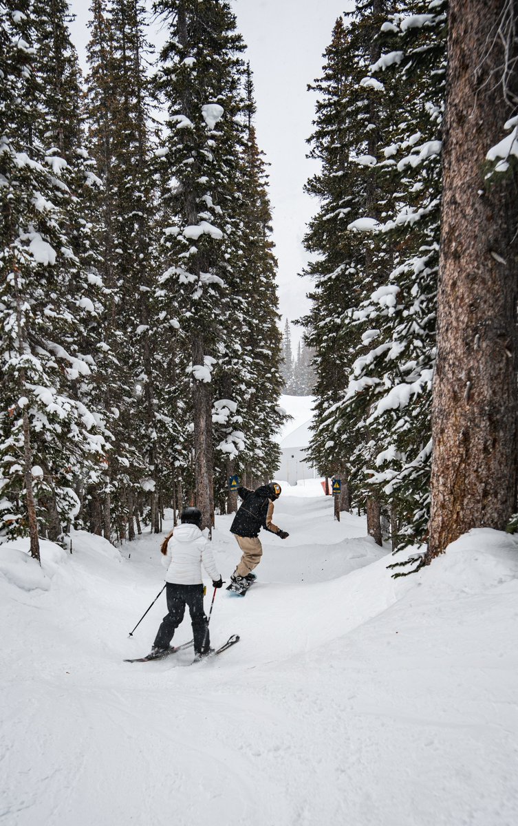 SunshineVillage's tweet photo. Can you name this run? 🎢 https://t.co/Rsno6FAInH