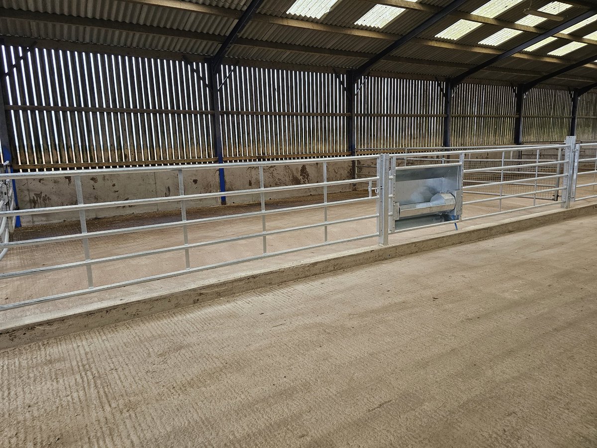 New calf pens coming together, should make life easier.