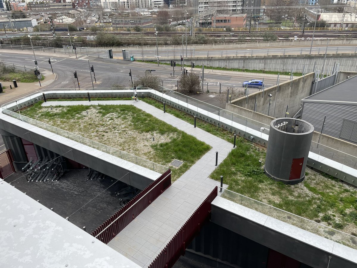 Green roof to-be already looking green - before we even planted anything. Ecology in action! @MSc_EDS