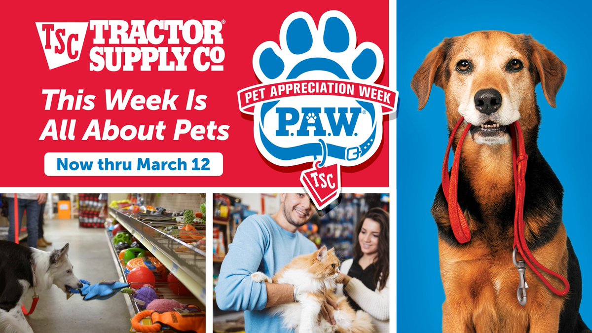 Does Tractor Supply Make Dog Tags