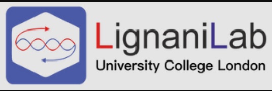 Foundation for ARID1B Research (FAR) tweet media