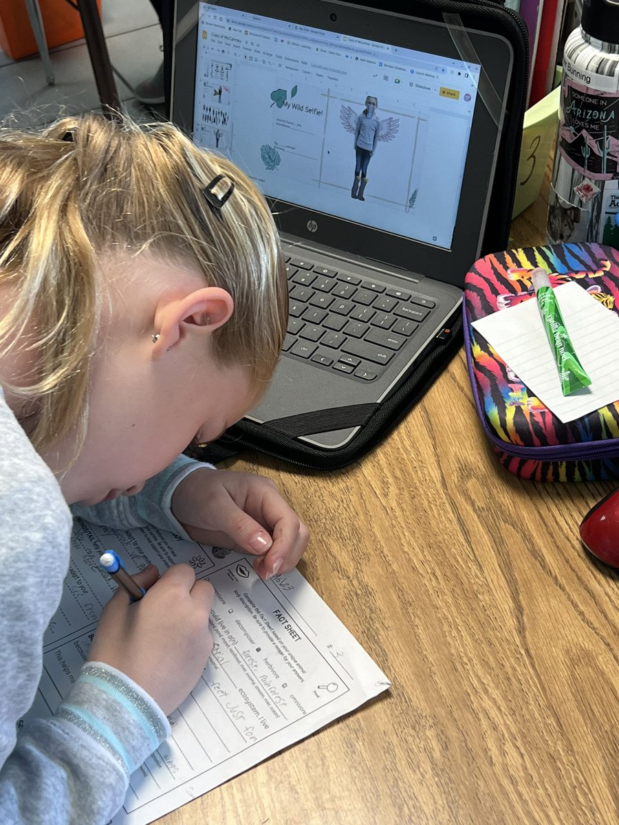MrsPhillipsLMS's tweet image. 3rd graders use animal adaptation knowledge to Build a Wild Selfie! @SES_Principal @cynange