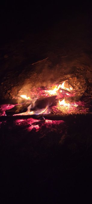 Had a little fire last night an then I took a picture of Luna cuz she's just so pretty 💙 https://t.c