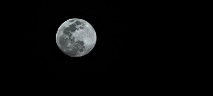 Had a little fire last night an then I took a picture of Luna cuz she's just so pretty 💙 https://t.c