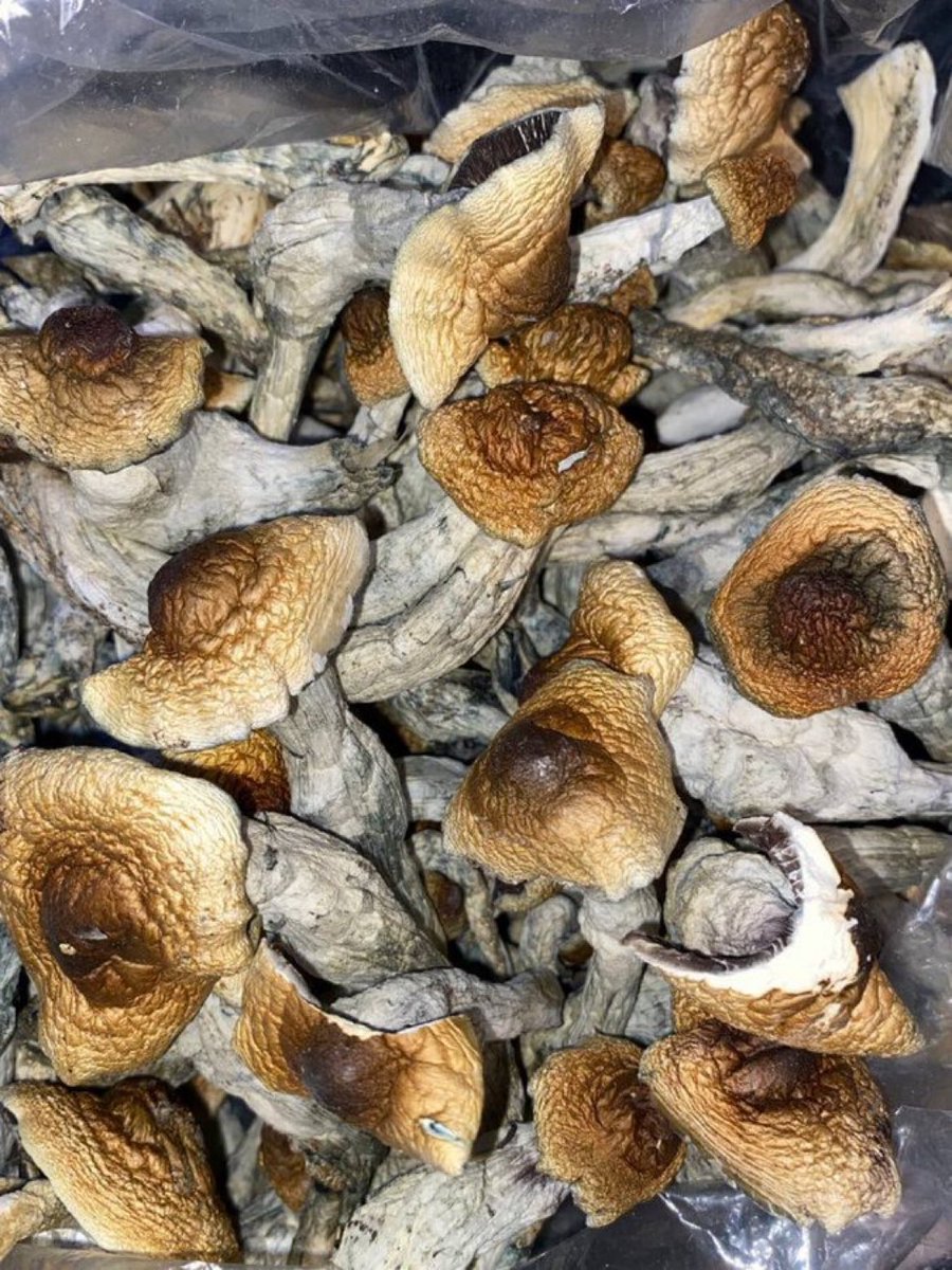 ca_psychedelic tweet picture
