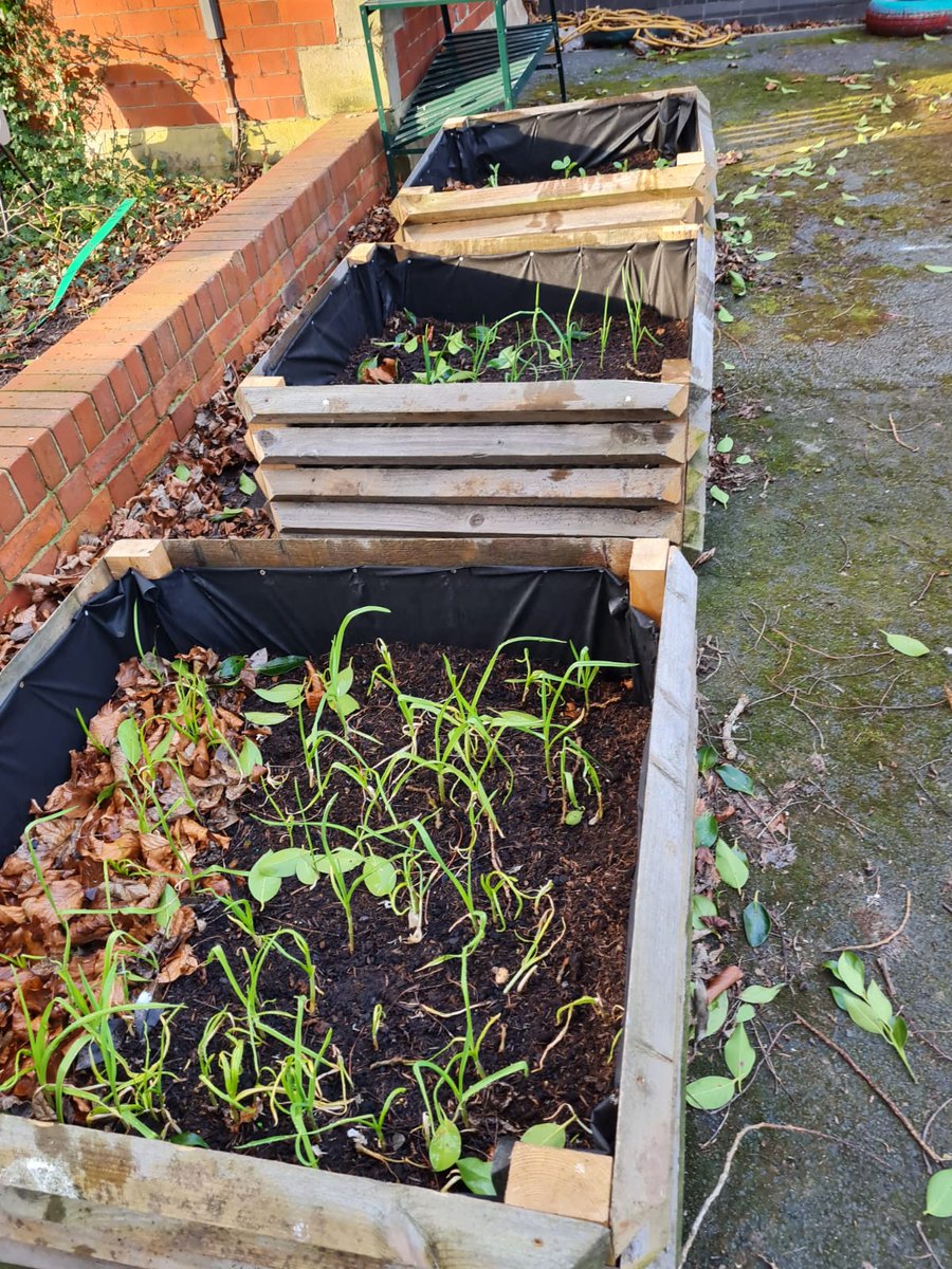 SACA_Religious's tweet photo. More from RE's Enrichment group
#StAidansCommunityAllotment
#CommunityAllotment
#Sustainability
#GoodHealthAndWellbeing
#ZeroHunger
#ActionOnClimateChange https://t.co/RRFiOhfPmW