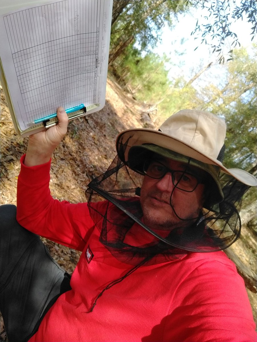 For all my #fieldwork friends up North braving the snow, I feel your pain here in the #lowcountry SC. #gnats #mosquitoes