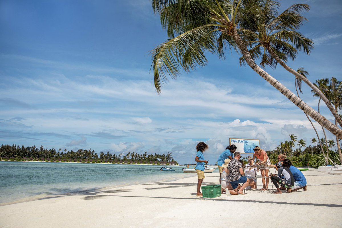 Proud to announce that Sun Siyam Care Program and TUI Blue Olhuveli Romance are working together towards a sustainable future! As part of this effort, we recently held a coral planting session at our resort with the help of our wonderful guests.
#sunsiyamcare #sustainability