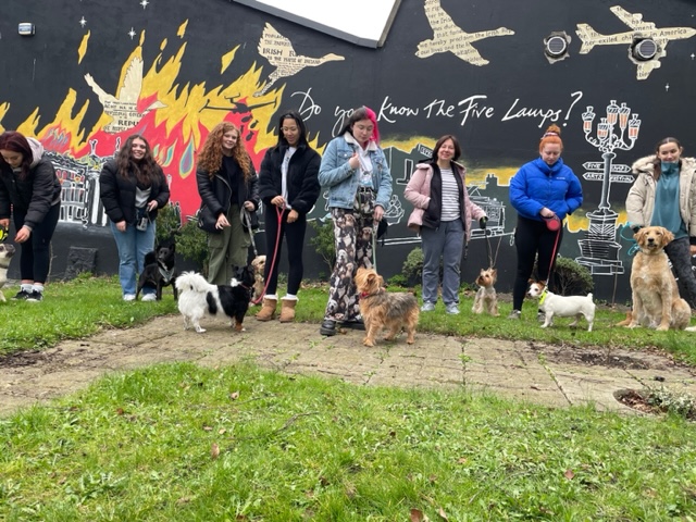 Killester College tweet media