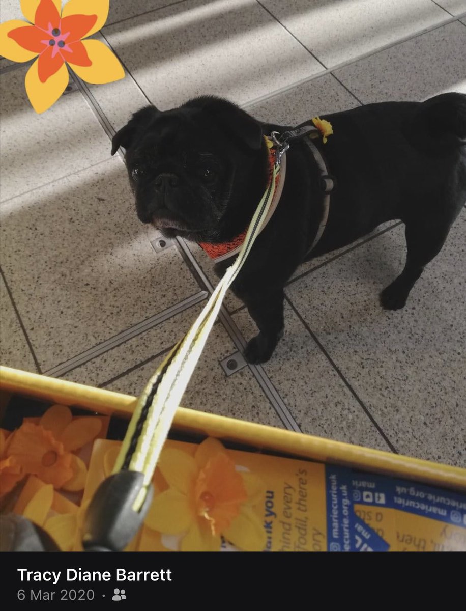 3 years ago today, 2 weeks pre-lockdown - Santi & me collected for the @mariecurieuk #GreatDaffodilAppeal at Highbury & Islington station - it feels a lifetime ago 💛 #nationaldayofreflection 23 March