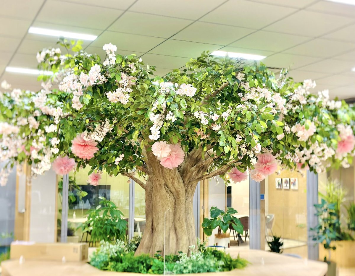 Merry1031's tweet image. Officeの
フリースペースに
恒例の桜が咲きました..🌸🍃

可愛いけど
ちょっと微妙〜😅

#桜
#office 
#freespace