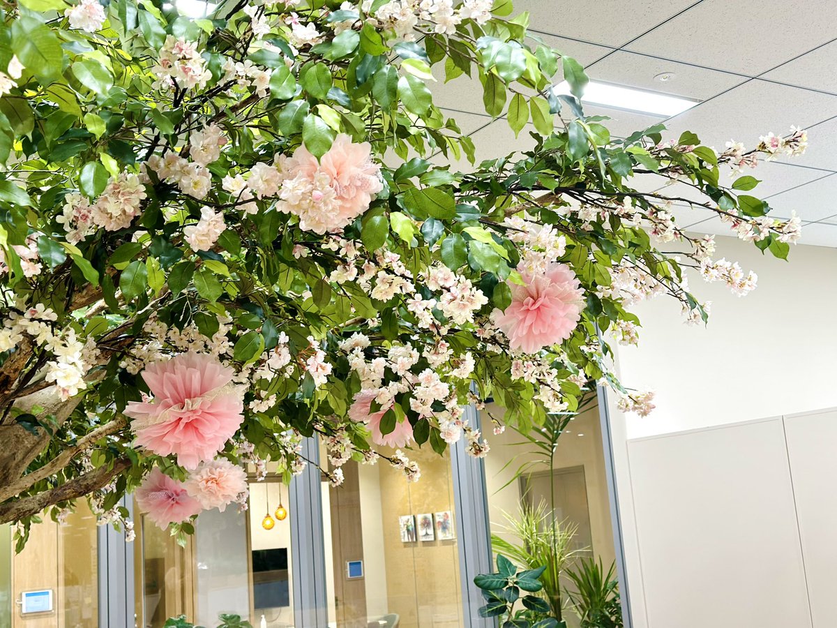 Merry1031's tweet image. Officeの
フリースペースに
恒例の桜が咲きました..🌸🍃

可愛いけど
ちょっと微妙〜😅

#桜
#office 
#freespace