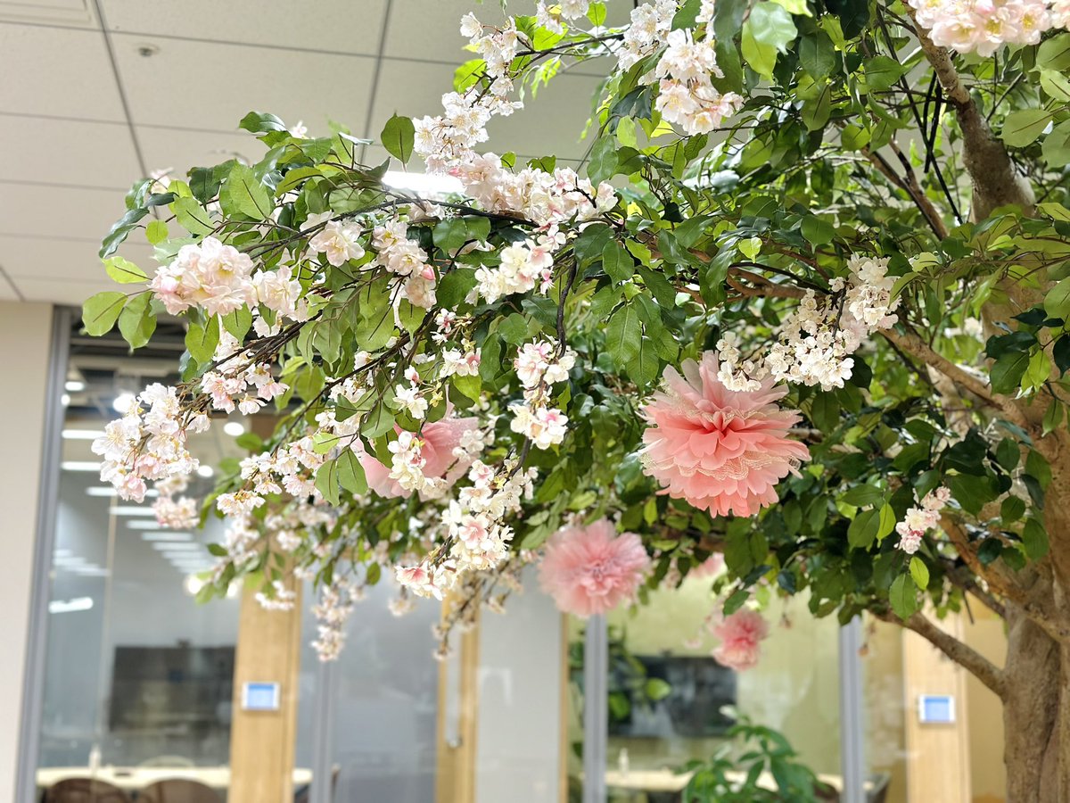 Merry1031's tweet image. Officeの
フリースペースに
恒例の桜が咲きました..🌸🍃

可愛いけど
ちょっと微妙〜😅

#桜
#office 
#freespace
