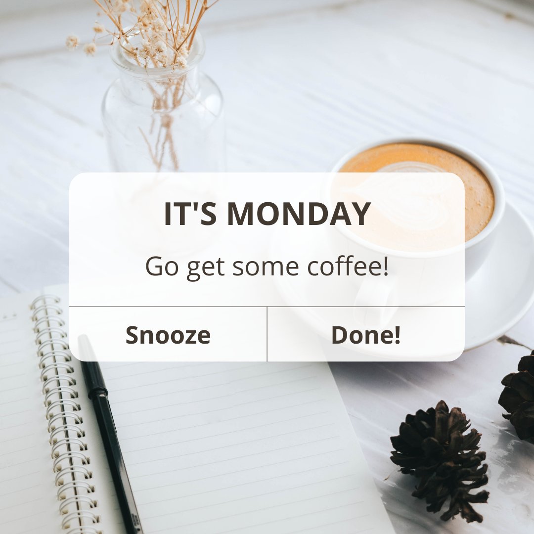 studio-lohi-apartments-on-twitter-happy-monday-need-a-strong