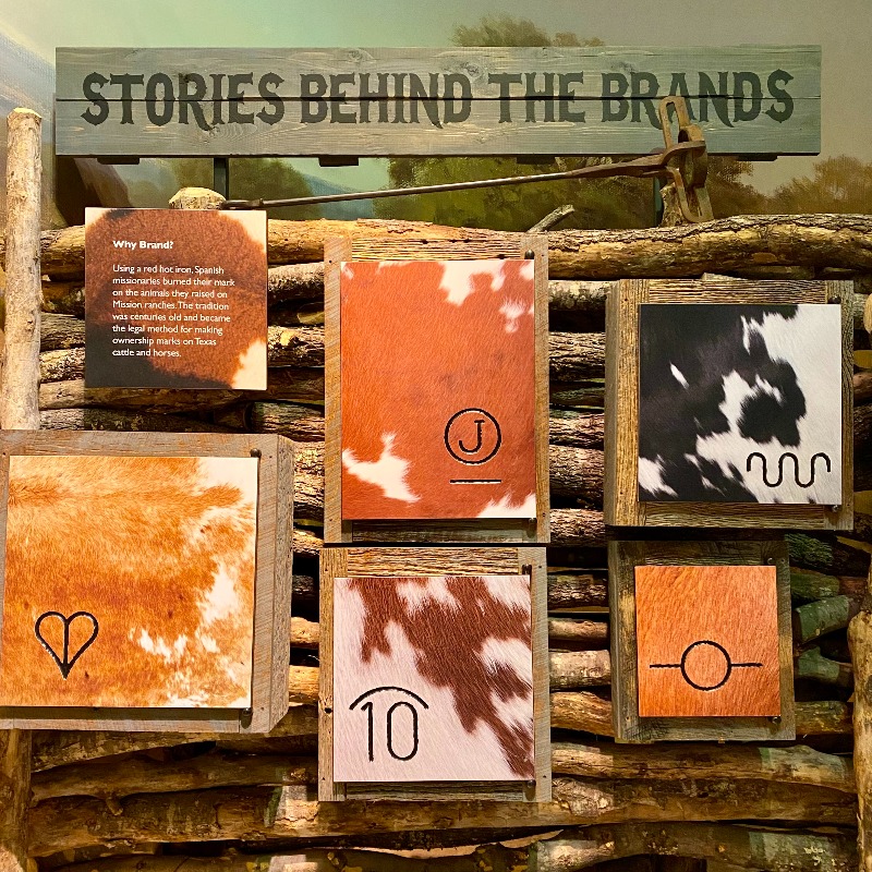 Witte Museum Nature, Science & Culture on Twitter "Why do ranchers