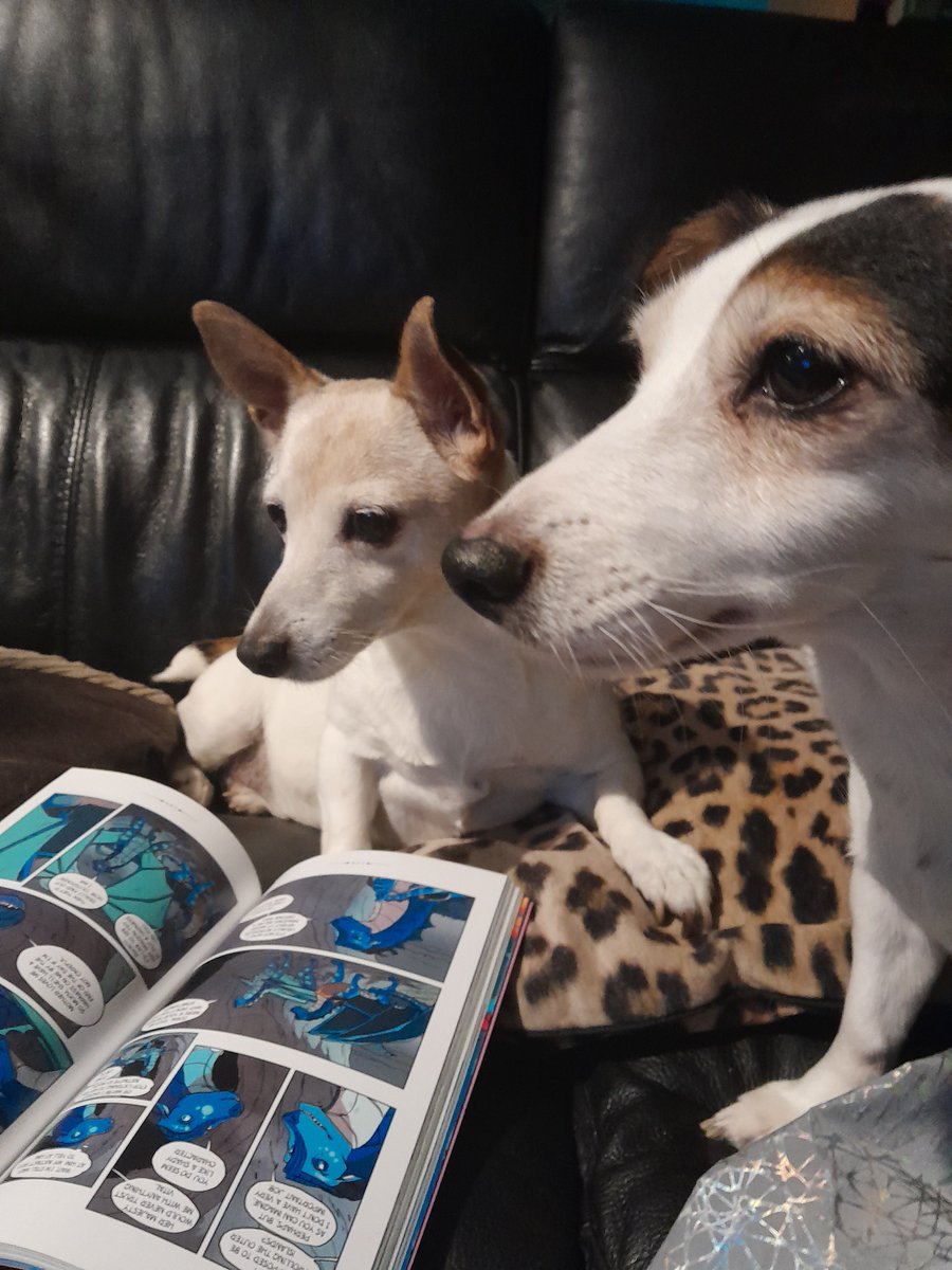 JCSPLynottLib's tweet photo. And 2 final doggos for good measure! https://t.co/rfSxgcGThJ