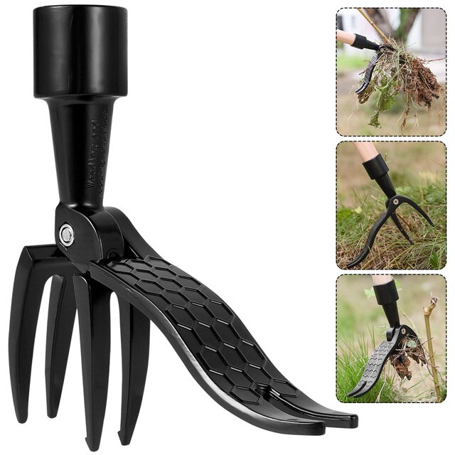 Looking for a new garden tool? This weed puller is high quality, non slip, stand up design, safe and efficient, and easy to use. Check out our website to get it delivered directly to you! 

plantsgaloreandmore.com/product/newest…

 #gardentool #gardentools #garden #gardening #gardenlife #garden