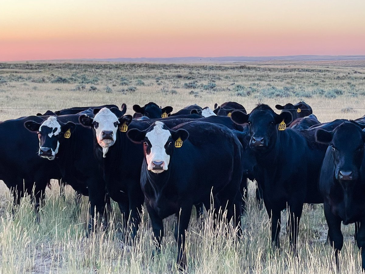 Don't forget to swing into the Rockpile Museum this March to see 'My Corner Office: Views and Reflections from the Powder River Basin' by Alan Nash.  

#RockpileMuseum
#wyomingmuseums
#powderriverbasin
#energycapital
#photography