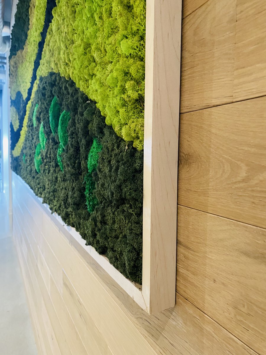 Living walls are an excellent choice if you're looking for a stunning, ever-changing display of plant life that can also help purify the air. On the other hand, moss walls provide a low-maintenance alternative that requires no irrigation or pruning. #LivingWalls #MossWalls