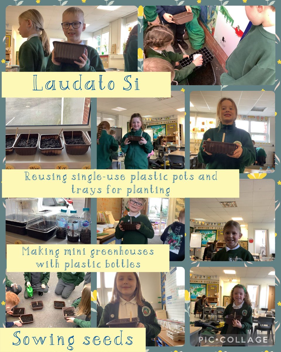 SJSB Laudato Si’ (@sjsblaudatosi) on Twitter photo This week in #Laudatosi we have chosen a variety of seeds to grow for our school, including flowers herbs and veg. We have re-used single-use plastic mushroom trays and plastic bottles to plant in and an old plastic container as a mini greenhouse.<a href="/EcoSchools/">Eco-Schools England</a> <a href="/StJosephStBede/">StJoseph StBede RCPS</a> This week in #Laudatosi we have chosen a variety of seeds to grow for our school, including flowers herbs and veg. We have re-used single-use plastic mushroom trays and plastic bottles to plant in and an old plastic container as a mini greenhouse.<a href="/EcoSchools/">Eco-Schools England</a> <a href="/StJosephStBede/">StJoseph StBede RCPS</a>