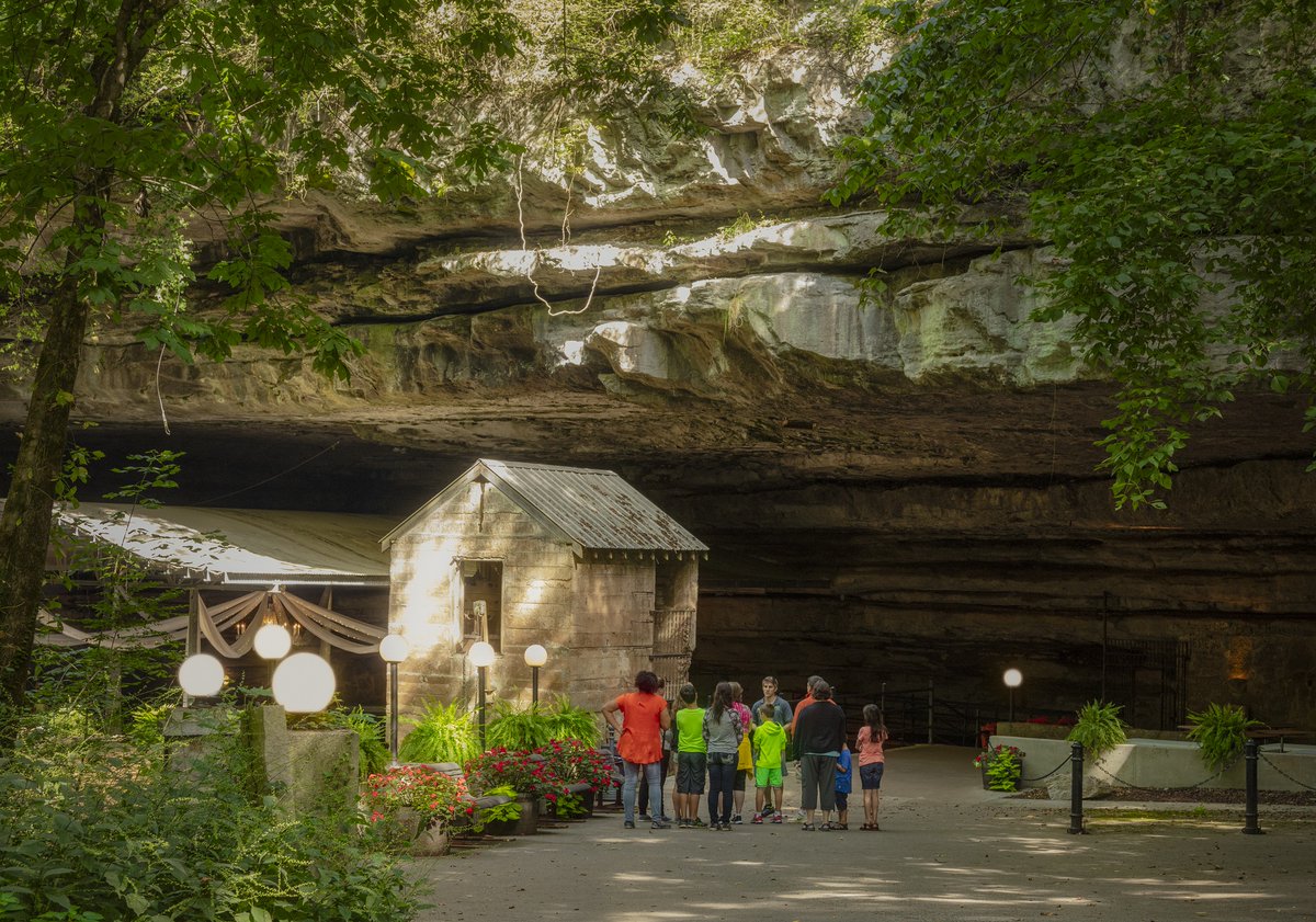 Kentucky Tourism tweet media