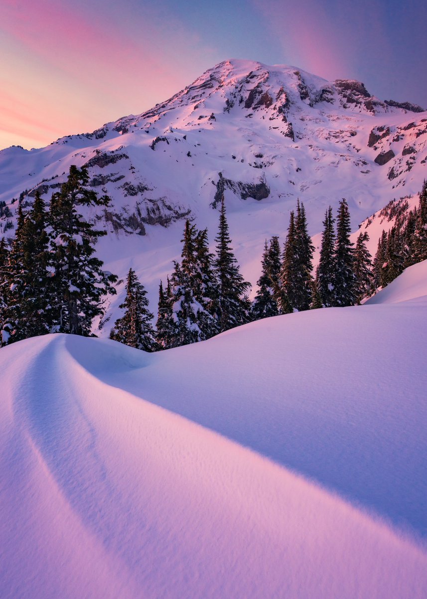 A mantle of snow cloaking Mount Rainier at sunset- taken a few weeks back. Truly beautiful in all seasons!!

#mountainmonday #mountrainier #pnw