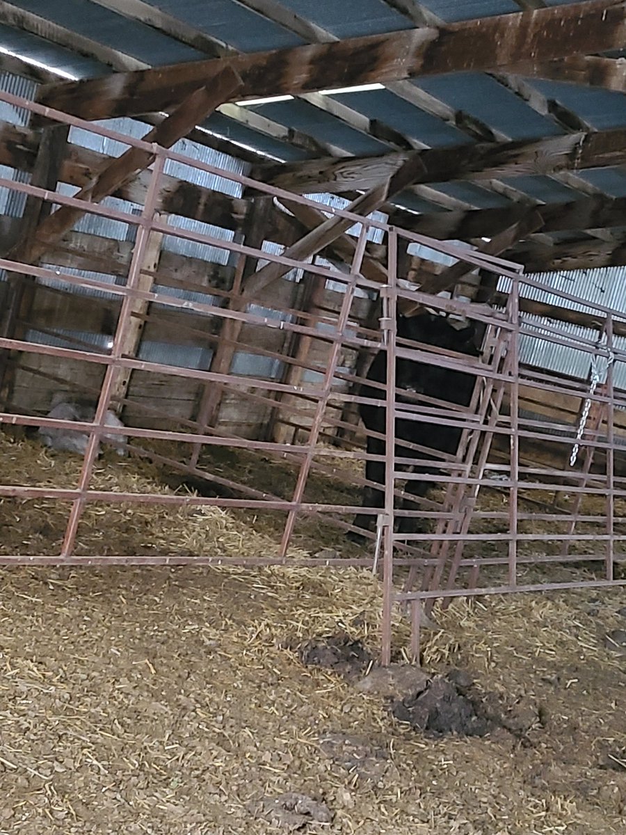 Leif Bakken tweet media