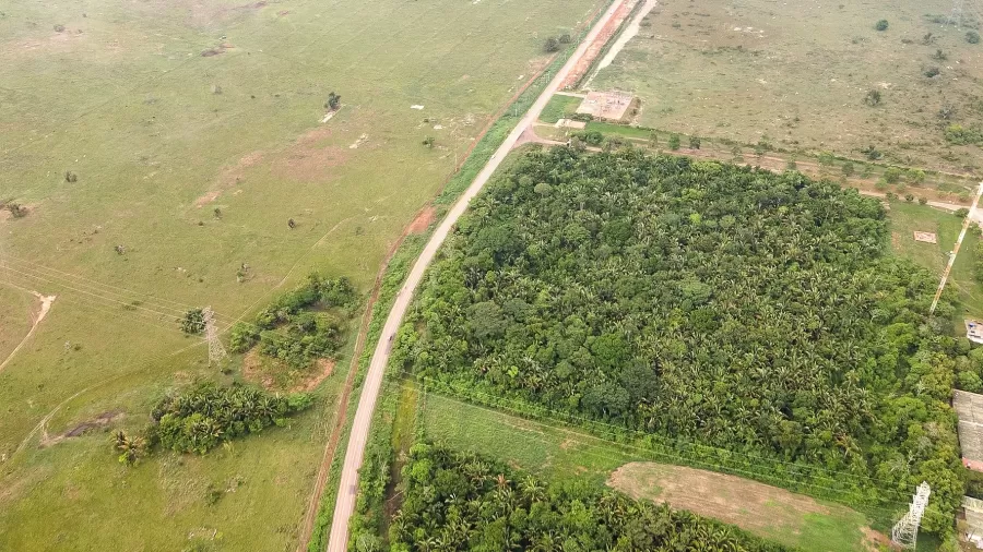 UOL Notícias tweet media