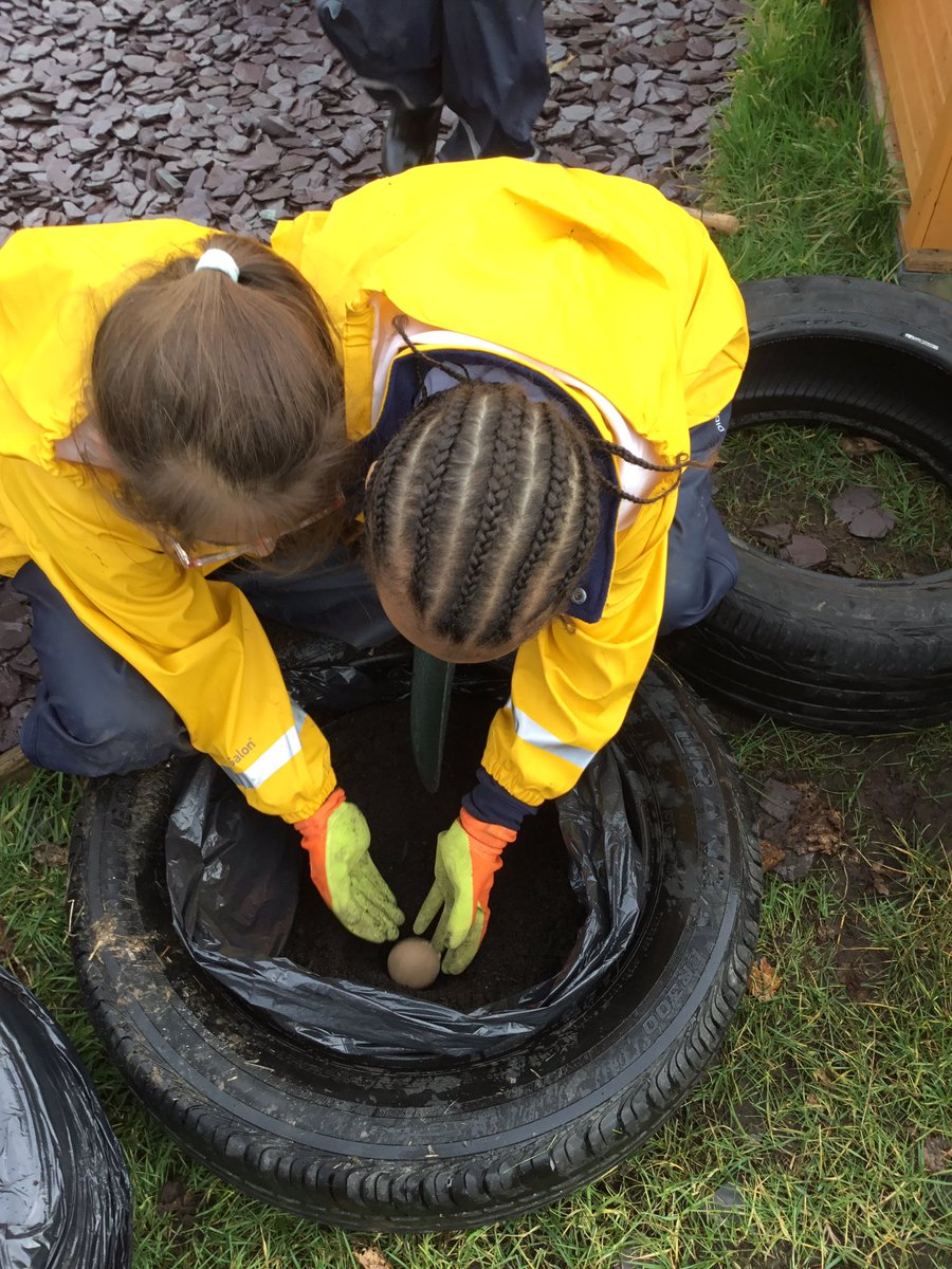 Miss Finn tweet media