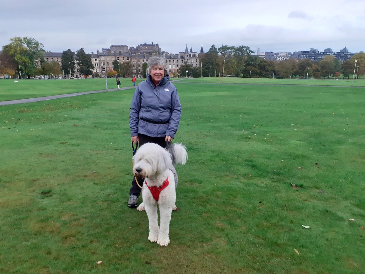 oldspeechie's tweet photo. @Floki08422257 Love the meadows too. When we looked after Dylan he loved going there too https://t.co/HTslHBTkij