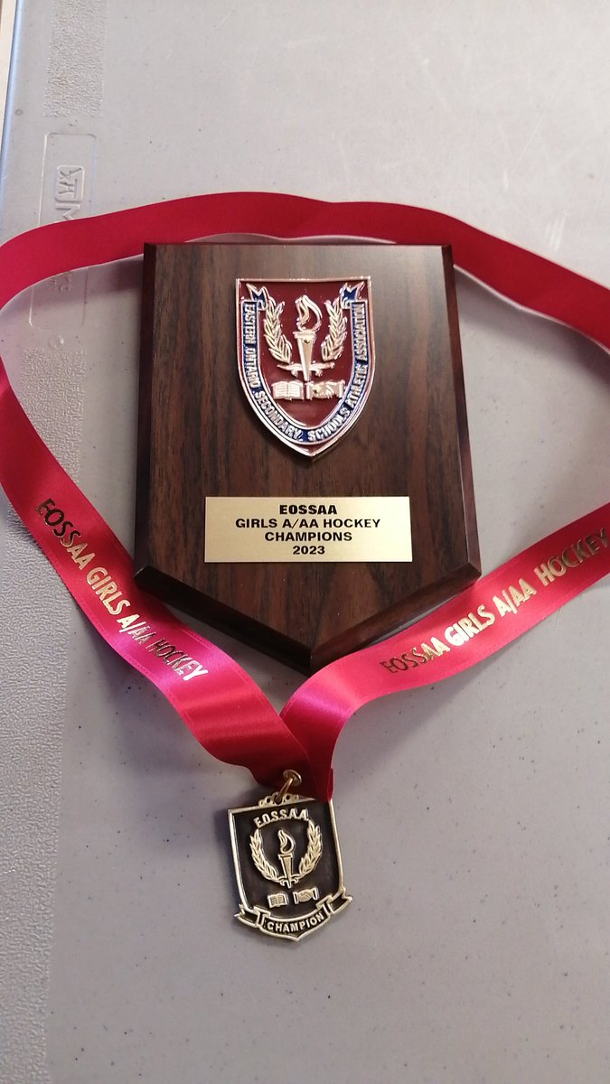 GIRLS HOCKEY A/AA UPDATE <a href="/theEOSSAA/">EOSSAA</a> 

GAMES 3 &amp; 4 
NDSS 3 ST. JOES 1
ST. MARY'S 1 ST. JOHN 4

NDSS PUNCHES THEIR TICKET TO THE FINALS AT 3:30!

GAMES 5  &amp; 6 UPCOMING
ST. JOES VS. L'ESCALE
ST. JOHN VS OPEONGO - WINNER MOVES ON TO FINALS