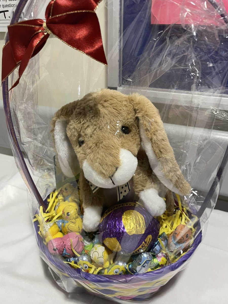 HannahTimms tweet media