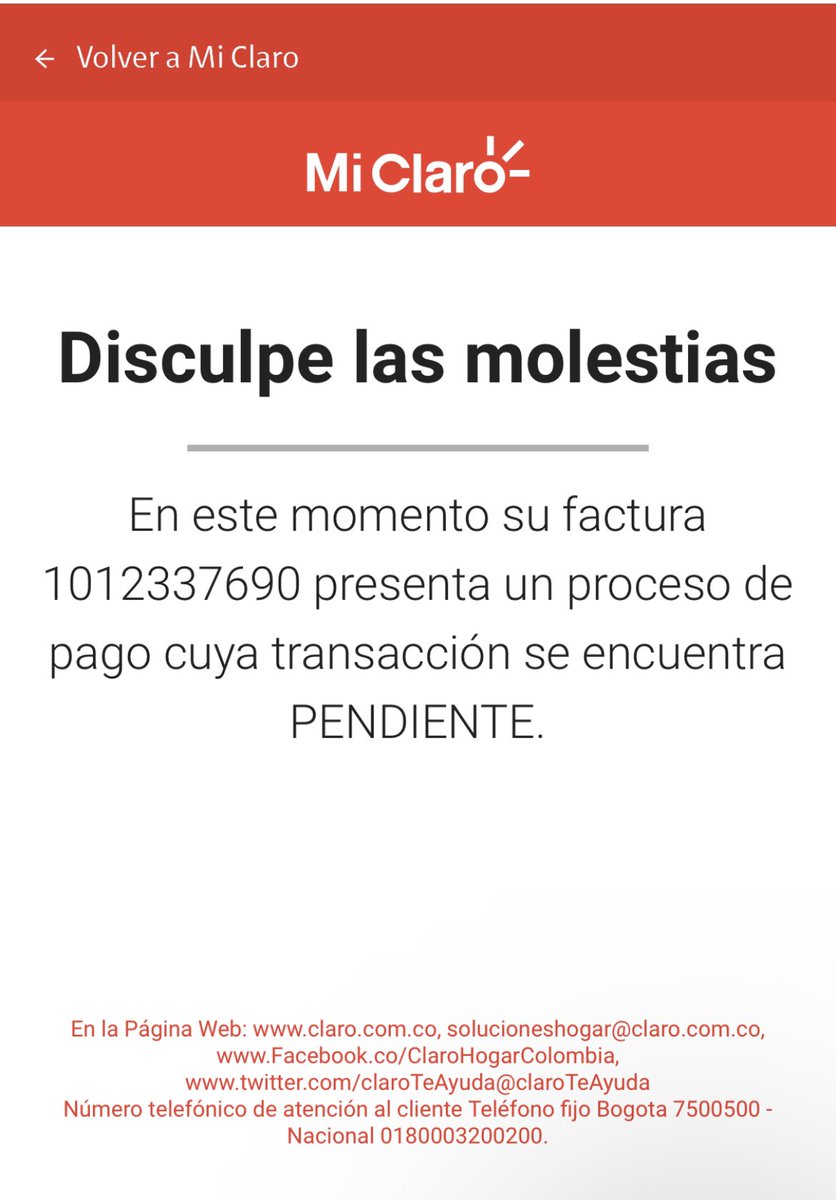 Maria Alejandra Medina tweet media