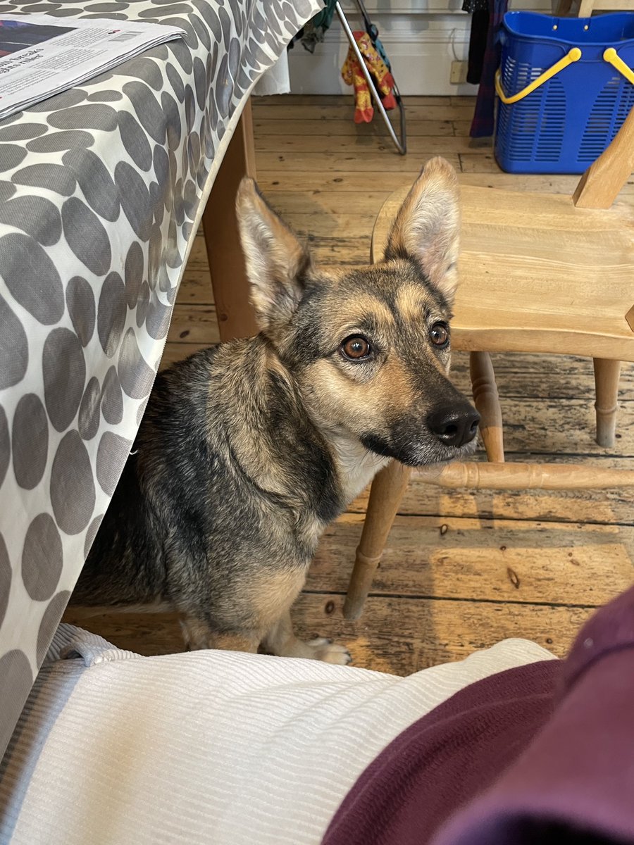 Oh hello #sophiefromromania 
What will it be? Garden or cheese?

Let’s do a poll. Is that a garden face or a cheese face?