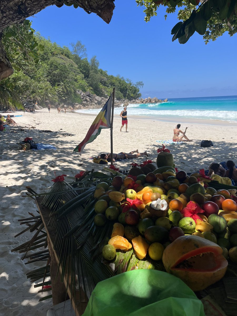 Suntavilo's tweet photo. Bole oči koliko je lepa ova plaža 😍☀️🌴🇸🇨⛵️ #seychelles #praslin #ansegeorgette https://t.co/0SJygVy5nP
