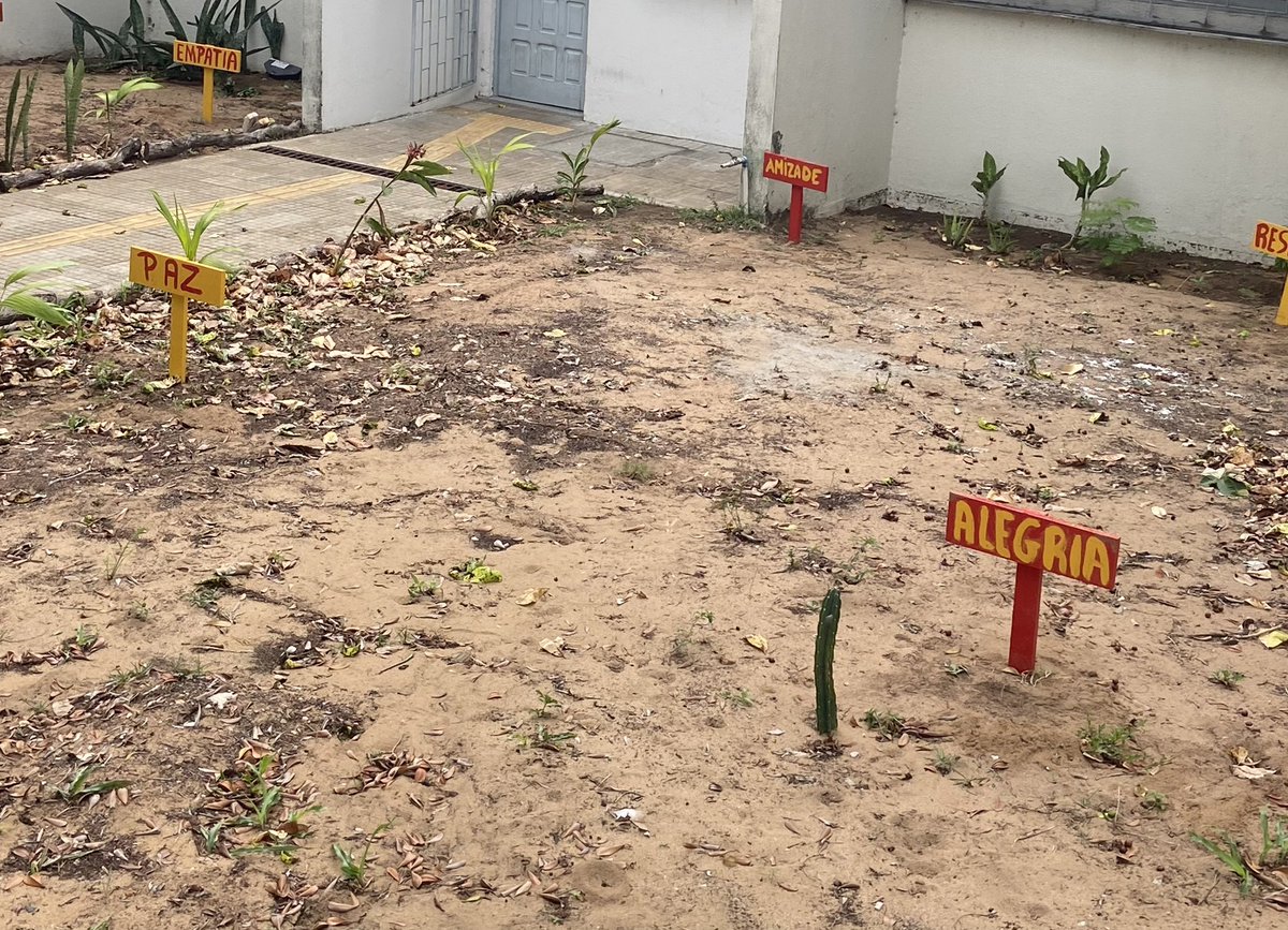 Legal, Erick Allan! tweet media