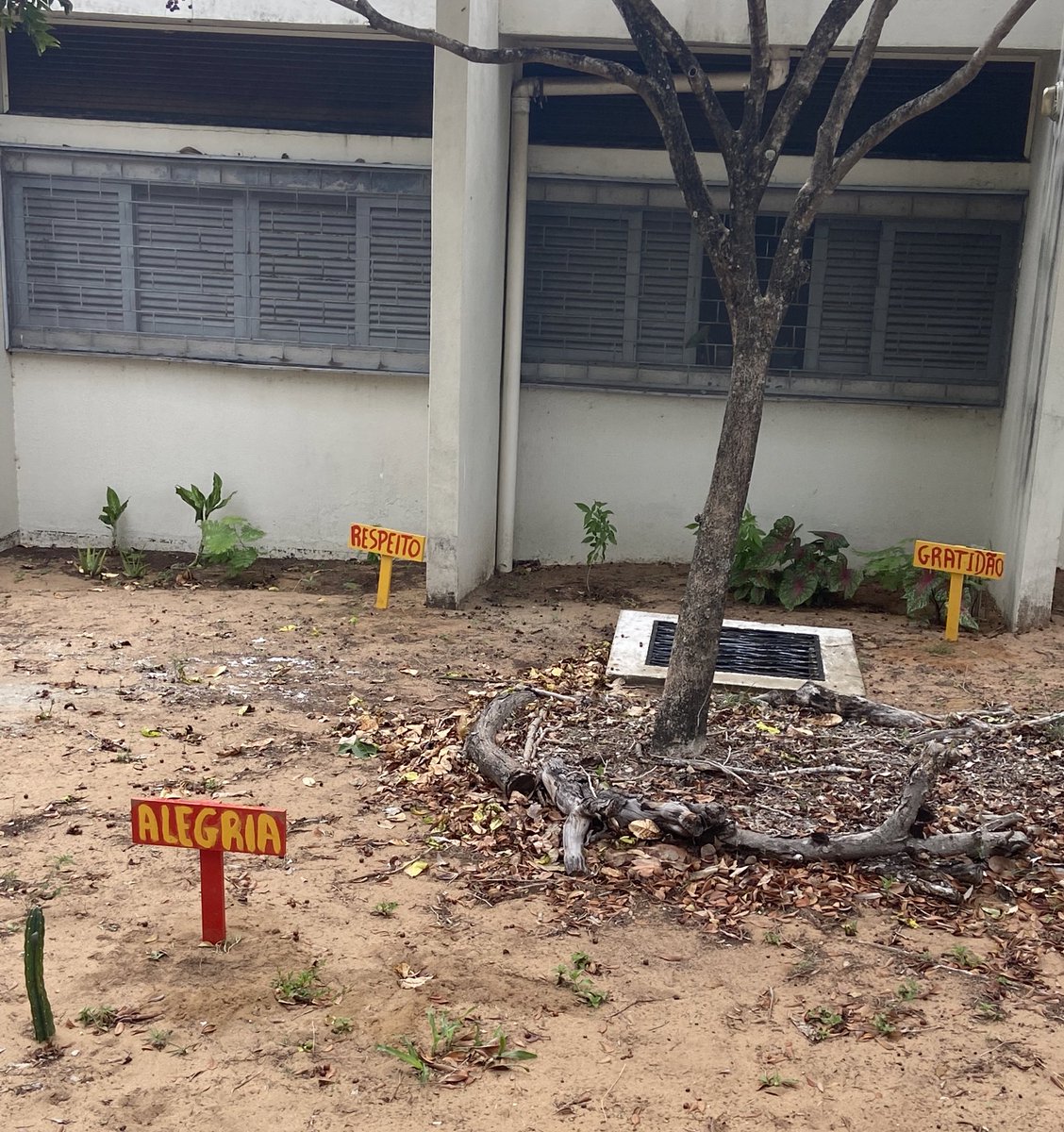 Legal, Erick Allan! tweet media