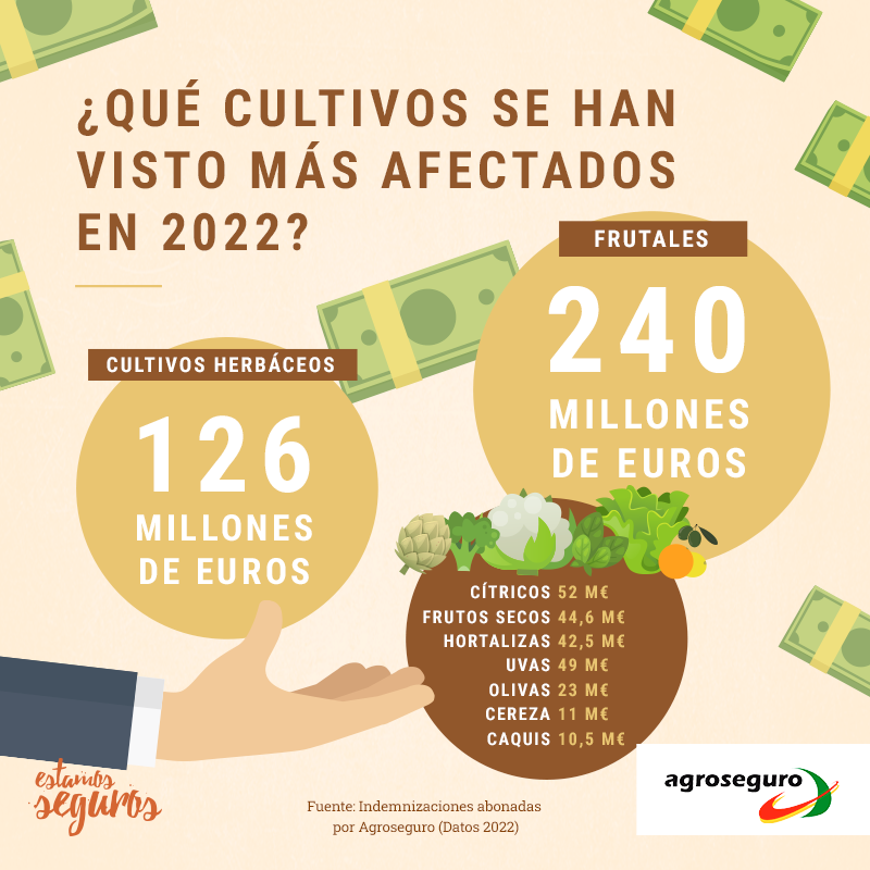 JAT_AXA's tweet photo. Los frutales han sido los productos agrarios que más han sufrido en 2022, según @agroseguro. @EstamosSeguros_ https://t.co/f7xpcmdikf