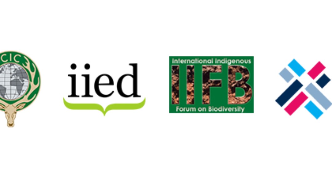 #ICYMI The COLLABORATIVE PARTNERSHIP ON SUSTAINABLE WILDLIFE MANAGEMENT (CPW) issued a joint statement for World Wildlife Day. The report highlights CPW's new priorities, like the sustainable management of wildlife in the One Health agenda. ow.ly/4wcI50N9b0Y #WWD2023