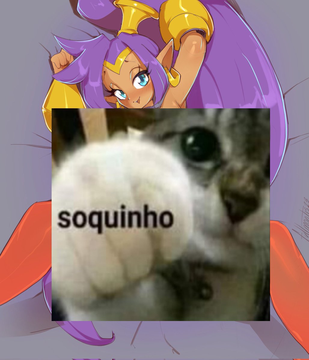 NSFWCatitos's tweet photo. 👊me prometa que não verá pornografia hoje https://t.co/UX1ayOuZr0