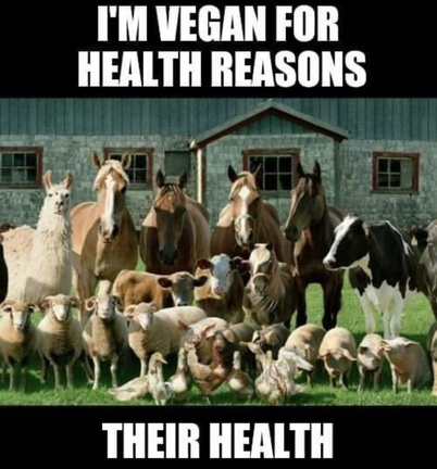 Vegan Future (@veganfuture) on Twitter photo 