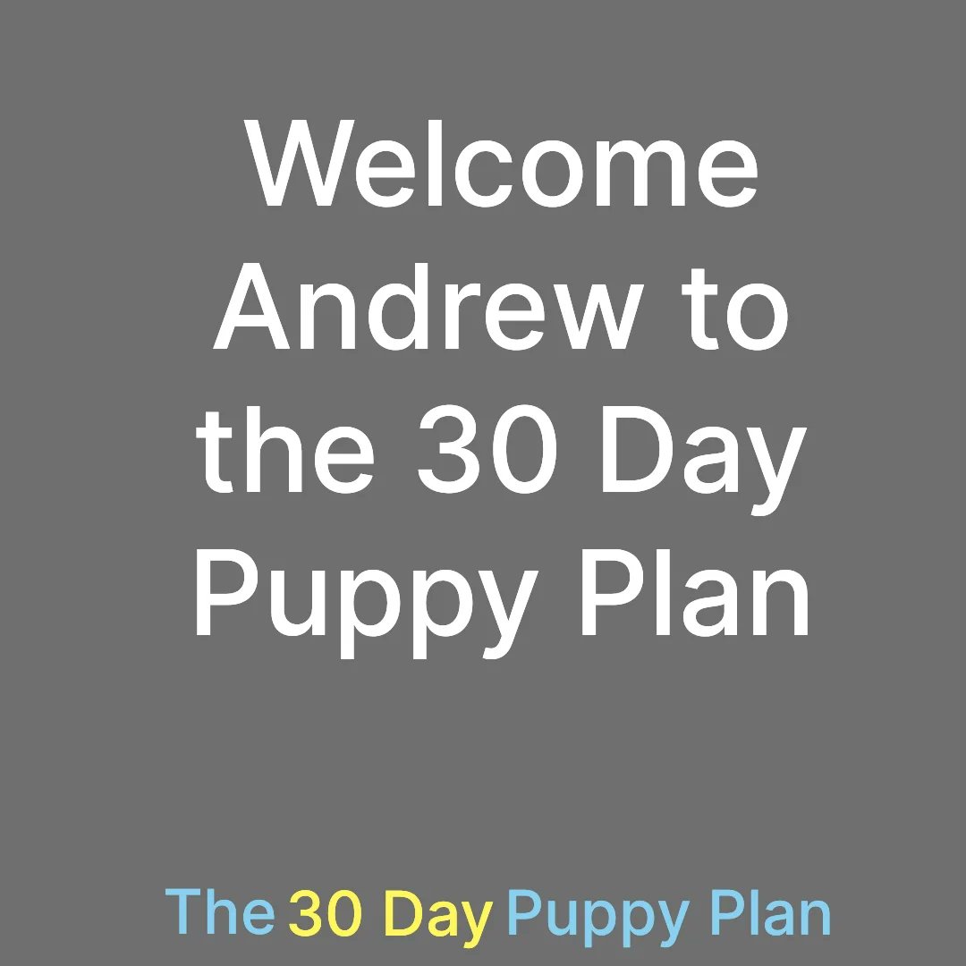 #dogtraining #puppy #dog #dogs #positivedogtraining #forcefreedogtraining #dogtrainer #puppies #dogbehaviour #dogcommunication
 #puppytraining #30daypuppyplan #dogcommunication #puppysocialisation #puppysocialising

bit.ly/PTCJ9P
instagram.com/p/CpddouLtZaf/…