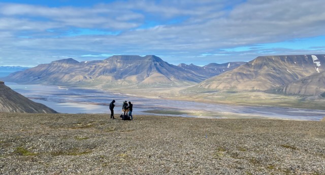 Anne Bjorkman tweet media