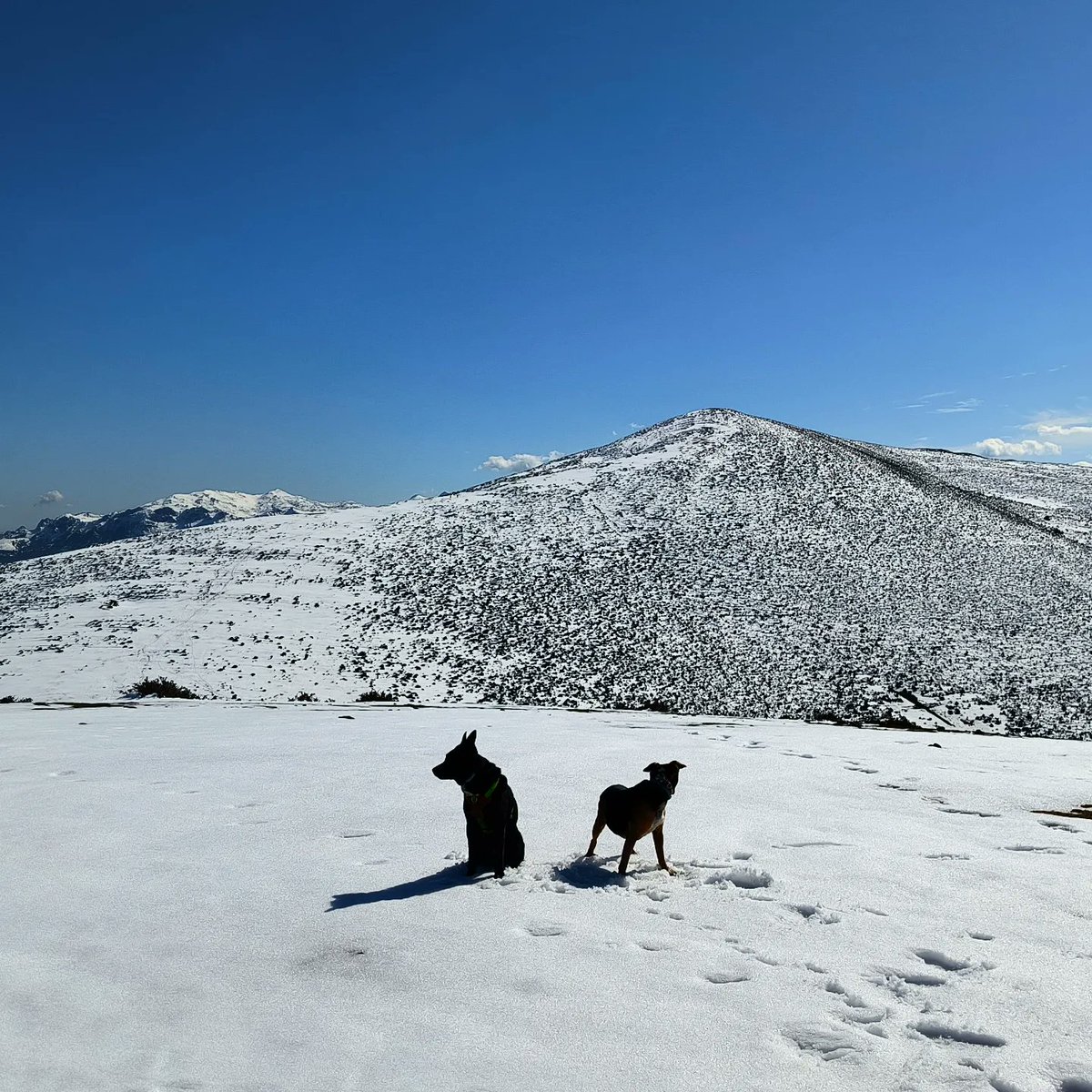 AitorIzquierdo7's tweet photo. Recuperar caminos antiguos, restos de majadas...

Y subir de una manera diferente al Picu Loral 🏃🏔️❄️🦮

@ADN_Astur
@MariaDiazYernes
@ladietistaalpinista

#adnastur #adnasturguides #clubdemontaña #mountainguide #tecnicodeportivo #guiademontaña https://t.co/FmVRAt96xv