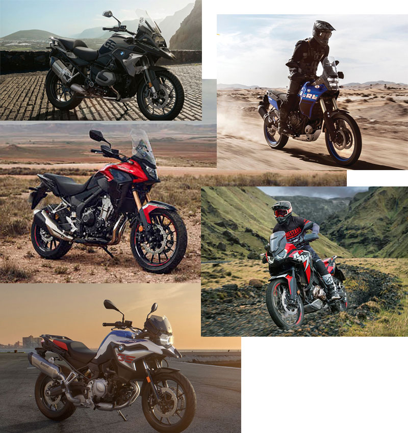 ‘Top 5’ de las trail más vendidas en 2022 › QuintaMarcha.com quintamarcha.com/index.php/top-…